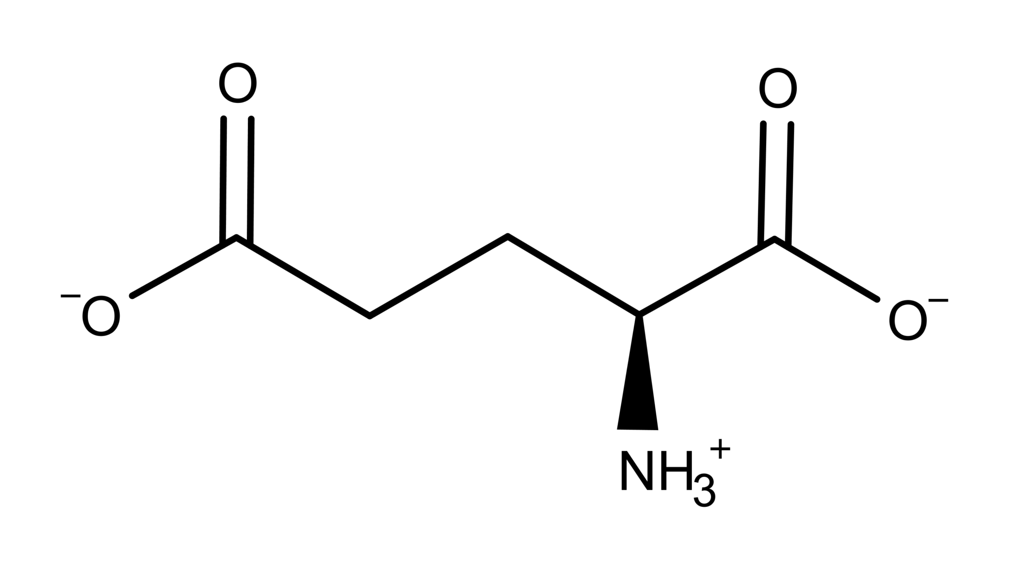 3000-glutamate-2048x1153.png