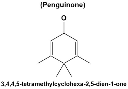 Penguinone.jpg