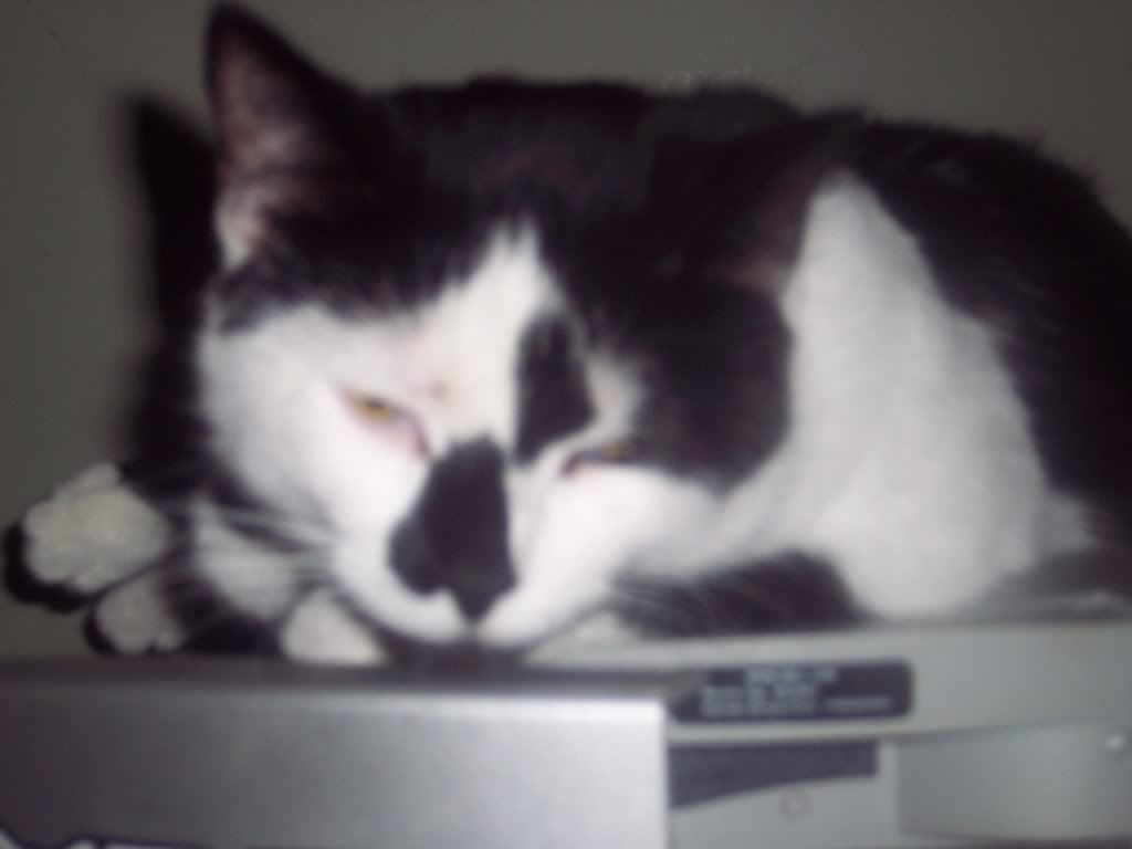 000_0270.jpg