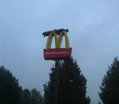 f0f756b928462269be87d102059dfa17--planks-mcdonalds.jpg
