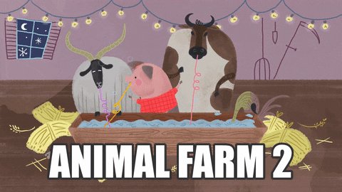 Animal Farm Pig GIF by funk