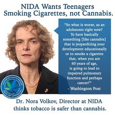 Nora-Volkov-The-myths-of-smoking-pot-(2014-Jun-24).jpg