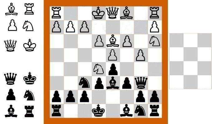 chesspokemyhorsey.jpg