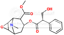 Scopolamine-Cocaine.png