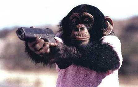 chimp_gun.JPG
