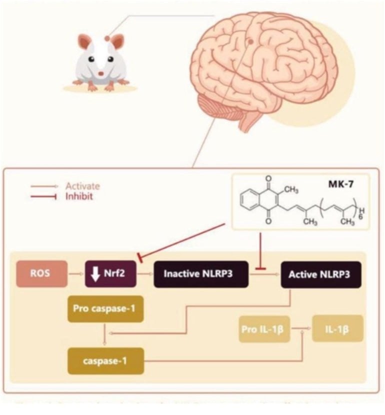 neurosciencenews.com