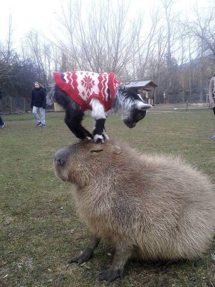 kxtgF8S.jpg