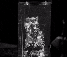 200.gif