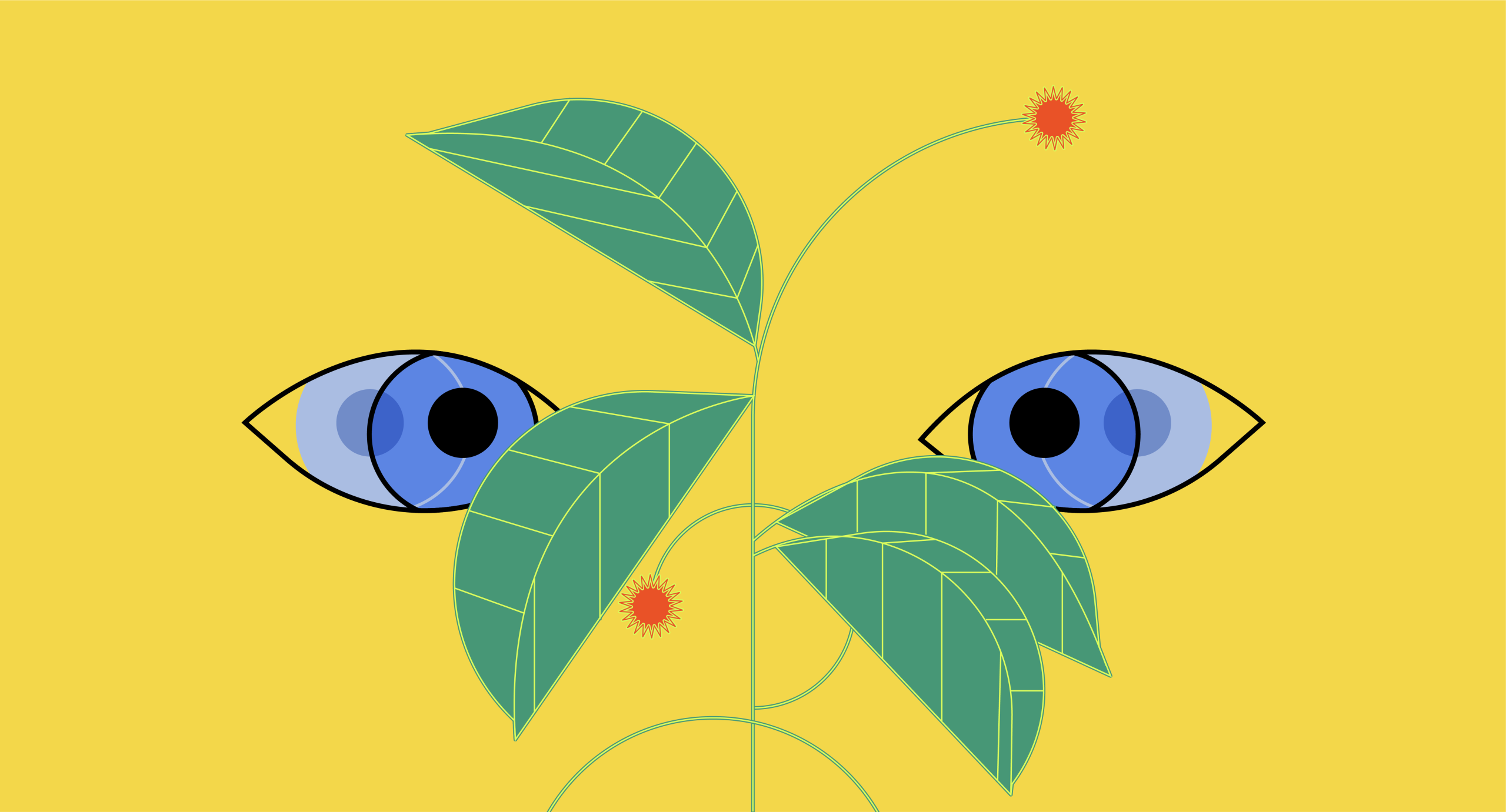kratom.org
