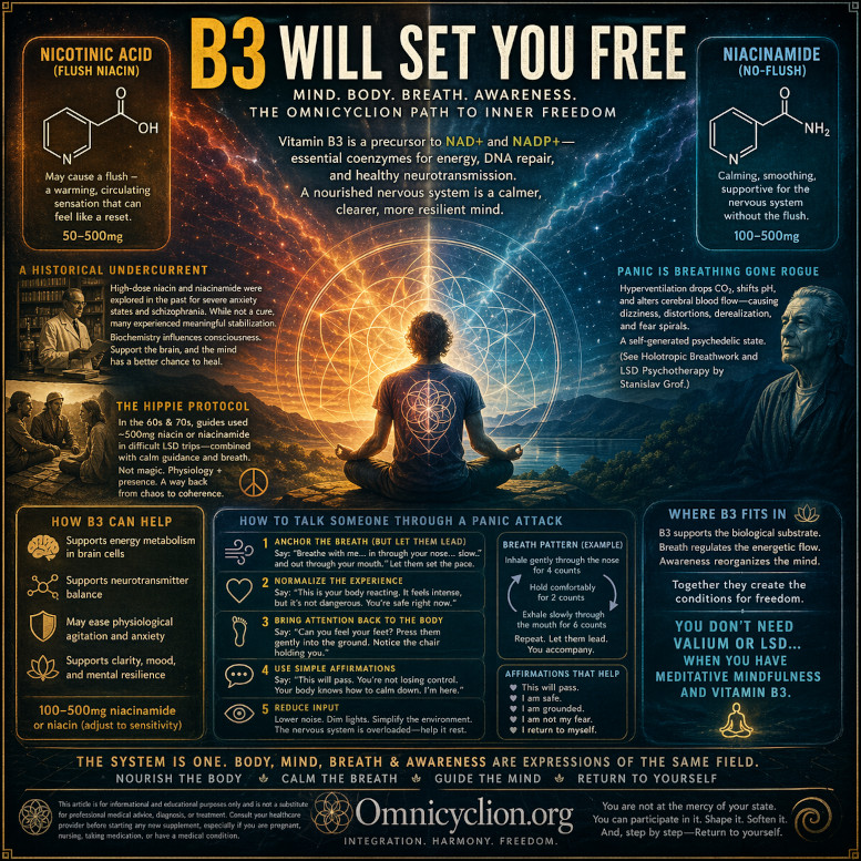 B3-will-set-you-Free.jpg