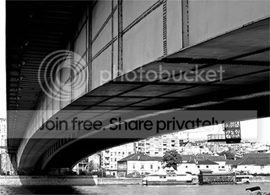 pic001size2.jpg