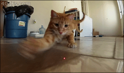 0l9XI3o.gif