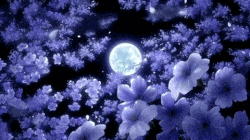 dwcEP6C.gif