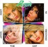 Poison-Cat.jpg