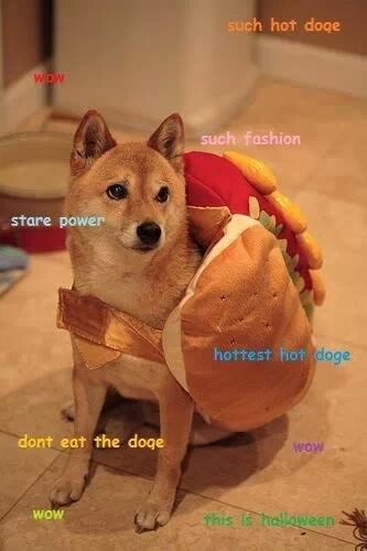 tumblr_n2rghff3hY1tw06q9o1_400.jpg