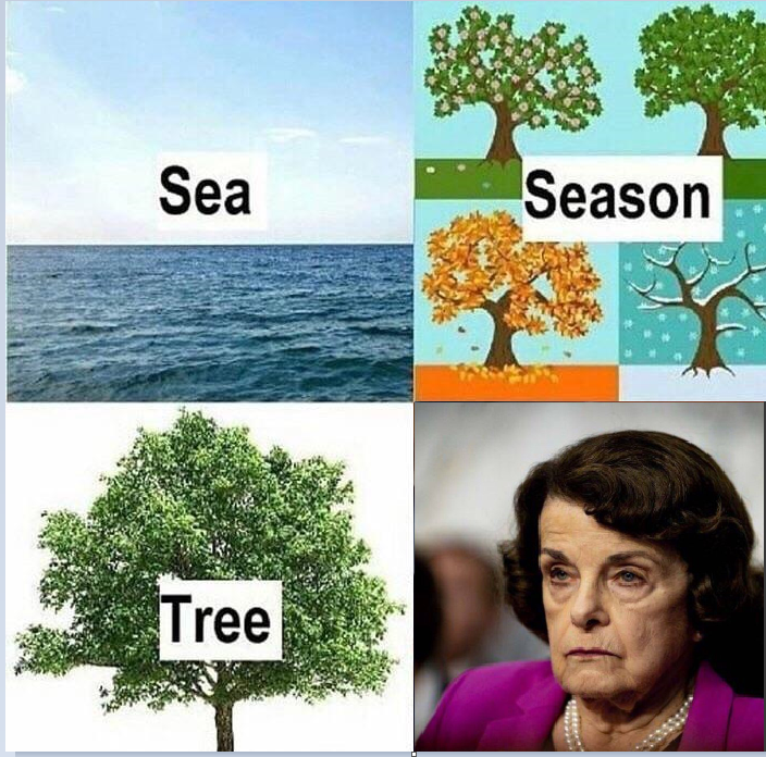0caCvRC.png