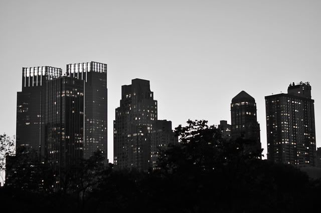 DSC_0043.jpg