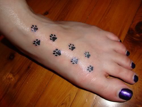 pawprints.jpg