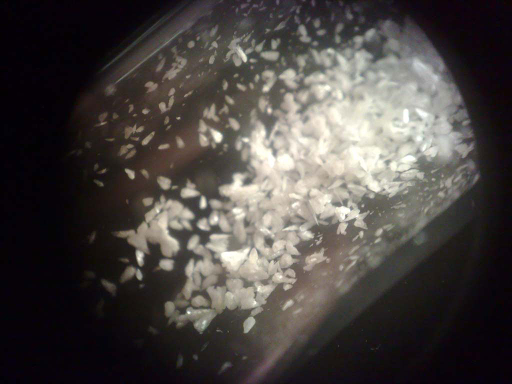 xzyin.jpg