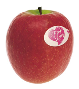 Pink_03.jpg