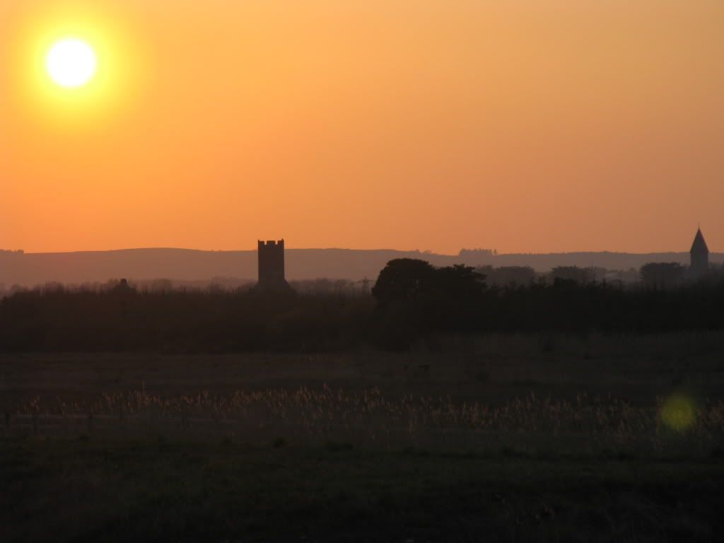 203.jpg