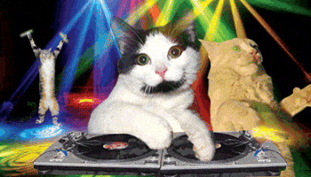 Excited Saturday Morning GIF