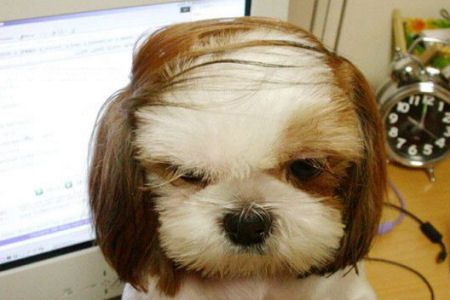 combover.jpg