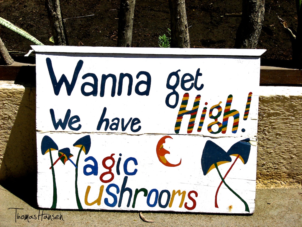 magic-mushrooms.jpg
