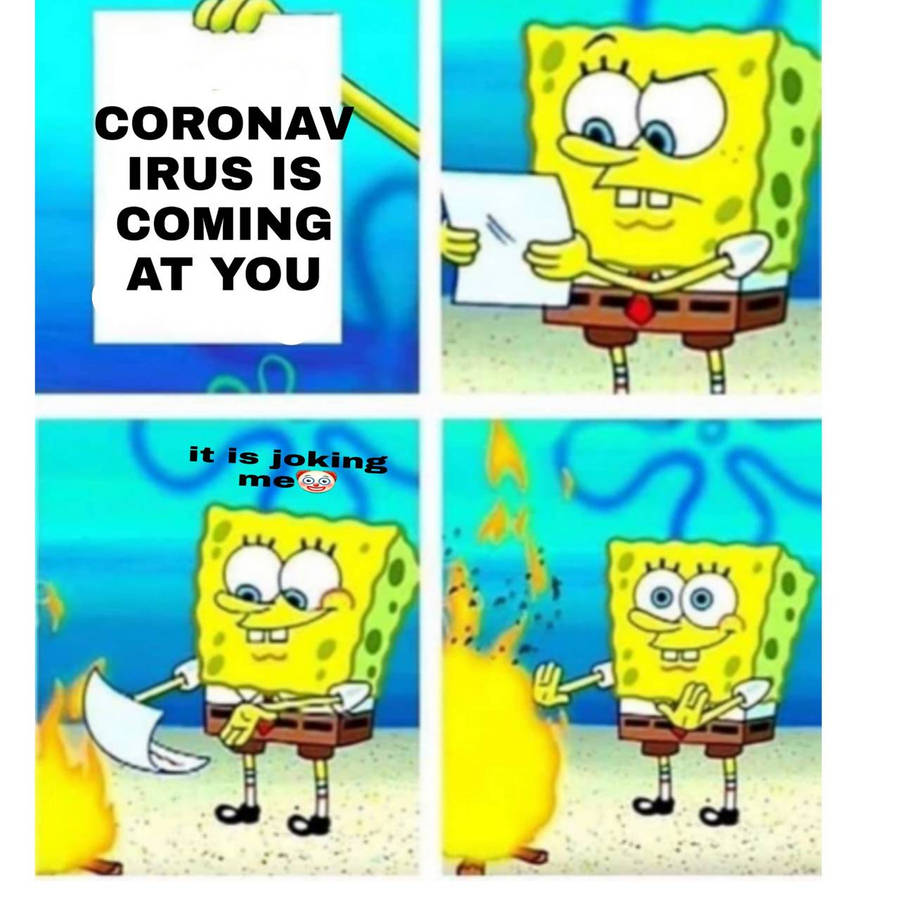 39949214.jpg