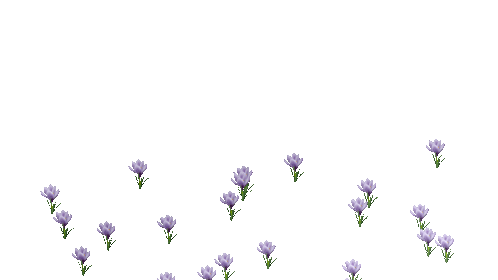 e08e4bcb31.gif