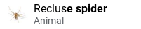 EuHmNbe.png