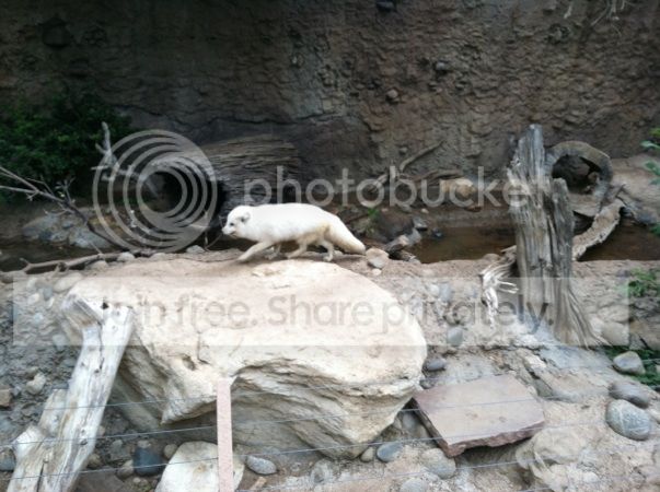 2FBA9989-07DE-4EEC-8500-BC82BA4ED98A.jpg