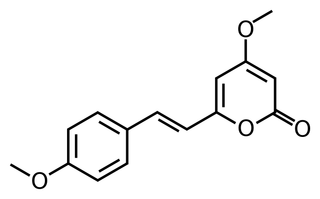 649px-Yangonin.svg.png