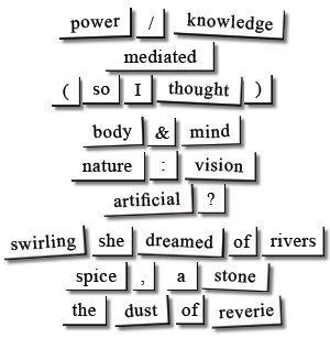 magnets_poem2.png
