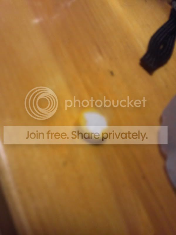 2011-06-25152214.jpg