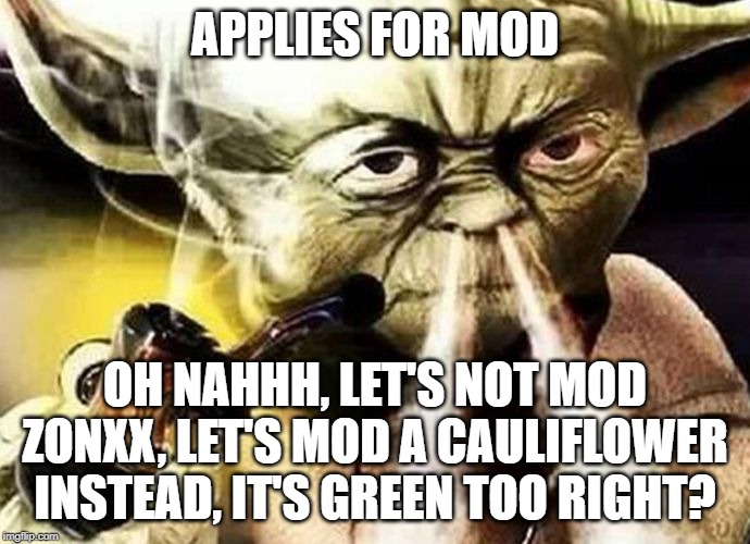 3ki19g.jpg