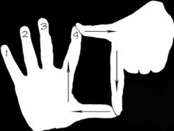 handsonlyjacklikeyouknowreresized.jpg