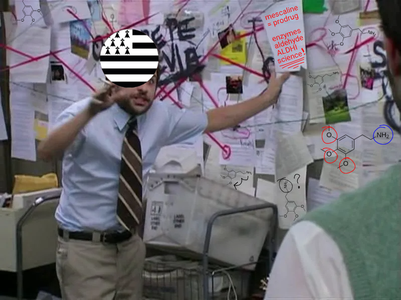 2026-08-25-08p-Kleki.png