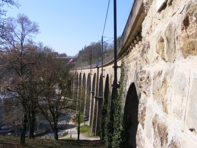 DSCF1308.jpg