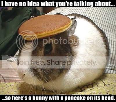 825640991-pancakerabbit.jpg