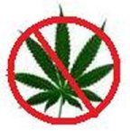 Anti-marijuana.jpg