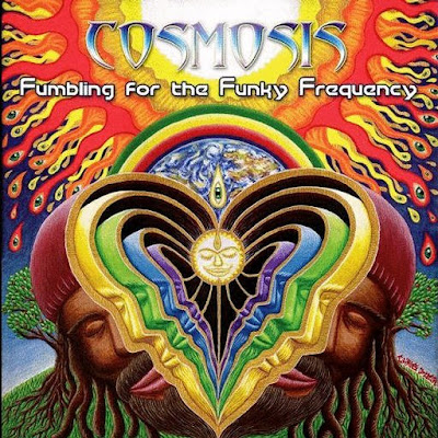 Cosmosis+Fumbling+For+The+Funky+Frequency.jpg
