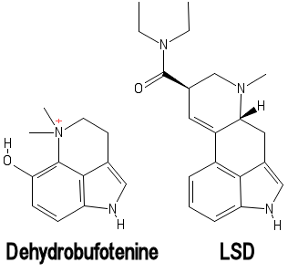 Dehydrobufotenine_and_LSD.png