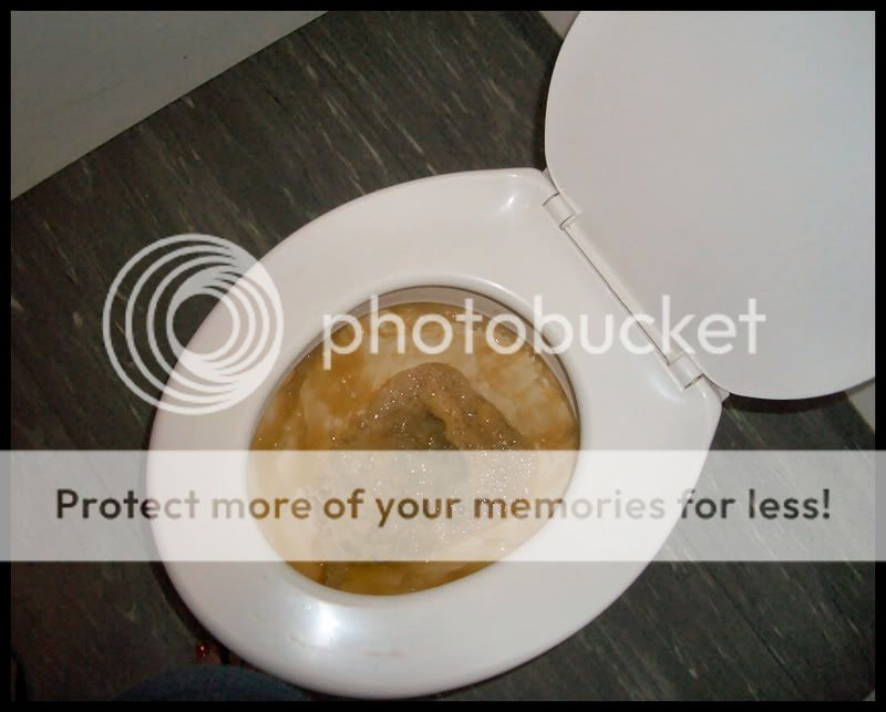ToiletFlush.jpg