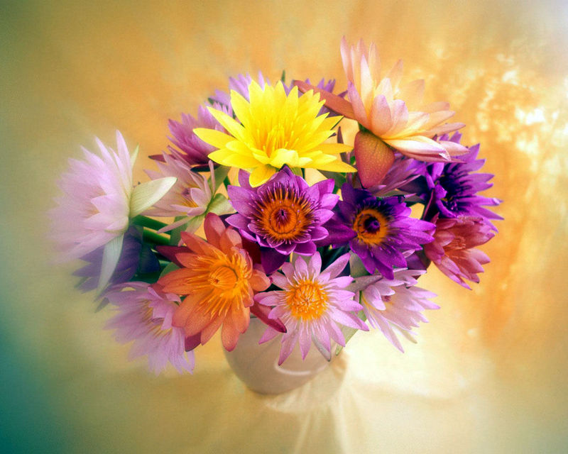 bunch_of_flowers-1280.jpg