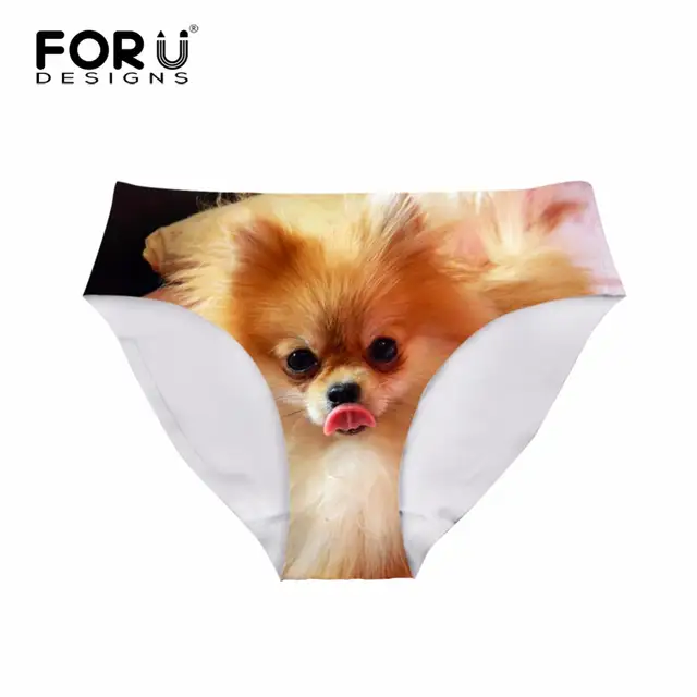 FORUDESIGNS-2018-Brand-Women-Underwear-Ladies-Sexy-Panties-For-Girls-Cute-3D-Pomeranian-Dog-Women-s.jpg_640x640q70.jpg