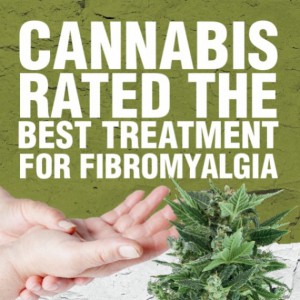 cannabis_best_treatment_for_fibromyagia-8f13c-300x300-1.jpg
