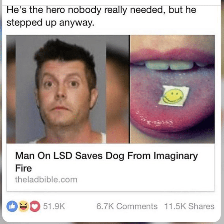 headline-that-reads-man-on-lsd-saves-dog-from-imaginary-fire