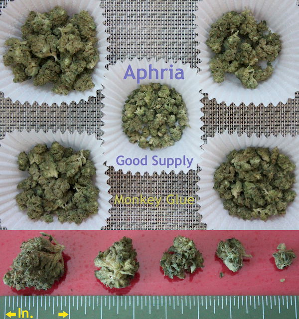 SQd-C-Aphria-Good-Supply-Monkey-Glue-600x640.png