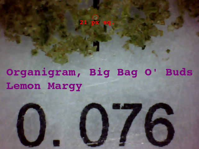 SQd-C-Organigram-Big-Bag-O-Buds-Lemon-Margy-Trichome-Glands-21-px-76-microns-640x480.png